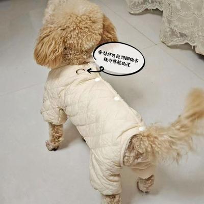 Так тепло выйти на улицу с поясной сумкой 2025, универсальная одежда для собак на осень и зиму, плюшевый мишка для питомца с пряжкой для поводка.