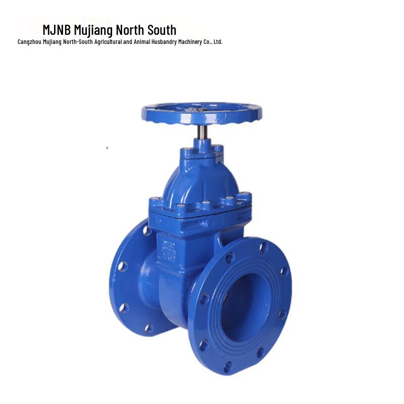 MJNB DN50 Flange Gate Valve
