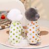 Pet Cat Clothes Spring Pet Surgical Clothes Cat Neuter Clothes Big Dot Home Small Teddy Casual Skirt