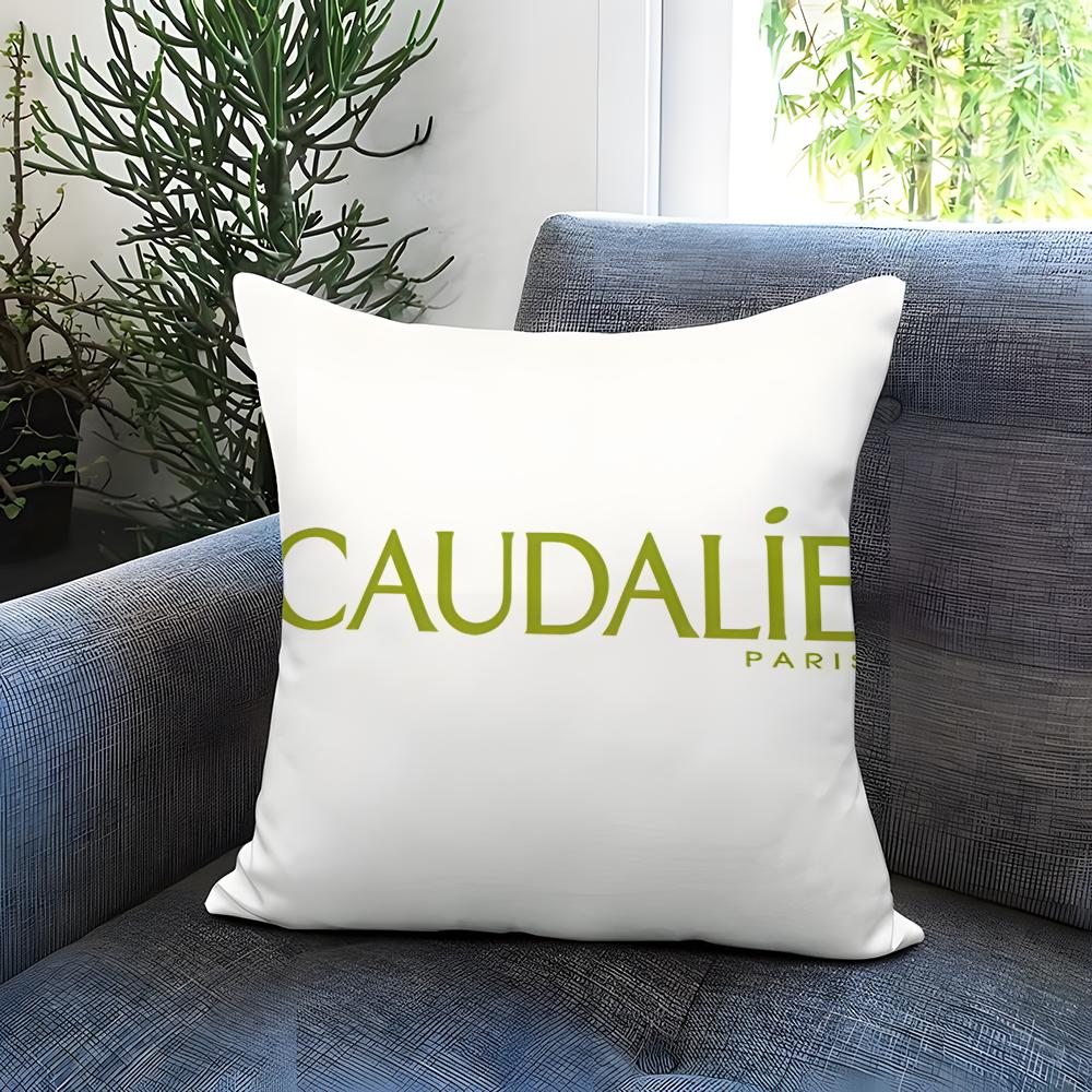 POPULAR CCaudalie-EE Cushion Cover Comfortable Reversible Pillow Cover Ideal for Car Sofa Bedroom & Beyond