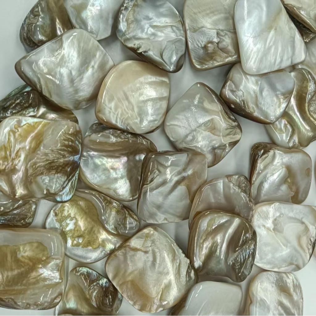 Natural Coral Shell Beads, Two-Row Teeth Size, Jewelry Accessories In Stock