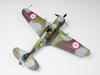 Wolfpack Design France Curtiss Hawk Premium Edition Пластиковая модель WOLWP14815 1/48 H75-C1