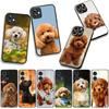 Phone Cover Lovely Poodle Dog Pet Casing for Apple iPhone 17 16 11 Pro XS Max XR 6 7 8 Plus + 16E SE 2020 Air 5 8+ Case