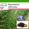 Rosemary - 100 Seeds - With Potting Substrate for Better Cultivation - Rosmarinus Officinalis