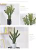 Nordic Green Cactus Potted Plant for Indoor Desert Decor and Mall Window Landscaping