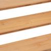 DRACO spice shelves kitchen organizer 3 levels