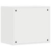 Wall Mounted Garage Cabinet with Gas Strut Door White