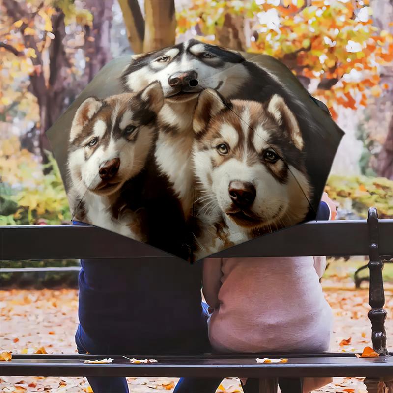 Husky pattern, automatic folding umbrella, portable and foldable design, 8 ribs, a Christmas or birthday gift.