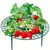 Avoid Ground Strawberry Planting Rack Keeping Plant Strawberry Planting Frame  Vegetable Growing