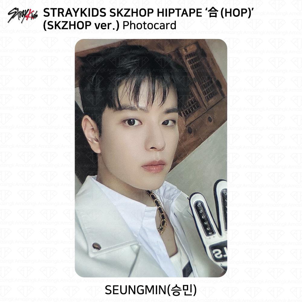 Stray Kids SKZHOP HIPTAPE HOP Аккордеон Официальная фотокарточка Unit Monochrome