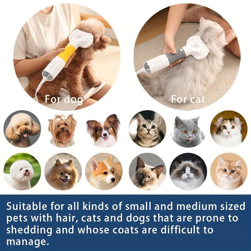 Pet Water Blower Hair Pulling Blowing Wind Modeling 3 In 1 Artifact Dog Hair Pulling Machine Hair Dryer Teddy Hair Comb Beauty