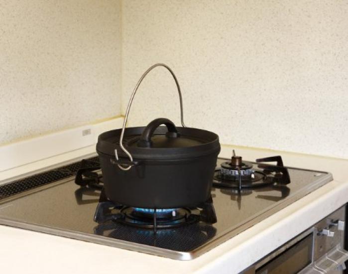 Coleman Dutch Oven SF (10 Inches) 170-9392