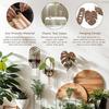 2pcs Plant Propagation Station Wall Hanging Wooden Leaf Plant Terrarium for Hydroponics Home Office Decor Test Tube Propagate Air Plant Cutting Holder