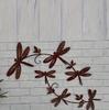 Metal Dragonfly Decorations Charming Country Style Metal Dragonfly Wall Art for Home Bed Room Indoor Outdoor Decorations Bug Sculpture Set