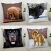 Tibetan Mastiff Pillowcase  Modern Home Living Room Decoration