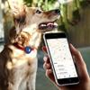 Защитный силиконовый держатель для Apple AirTag Держатель для ошейника собаки Водонепроницаемый Защита GPS-трекера