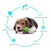 Vocal Dog Chew Toy Bump Design Wear-resistant Dog Toothbrush Stick TPR Soft Dog Interactive Training Toys Pet Dental Care