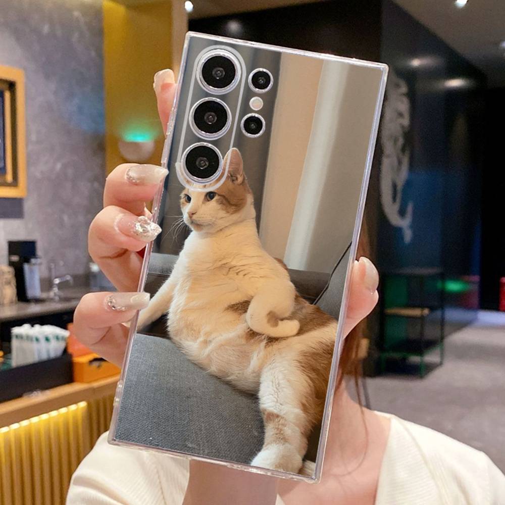 Funny Cat Memes Phone Case For SamsungS25,24,23,22,21,30,Ultra,20,Plus,Lite,10,5G,Soft Transparent Cover