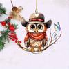 Charming Cartoon Hooded Owl Car Pendant Acrylic Keyring For Festive Decor