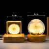 Dandelion Crystal Ball Night Light with Preserved Flower