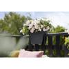 ELHO Balcony Box Vibia Campana Flower Bridge 40 - 26x39x22cm - Outdoor Balcony - Anthracite