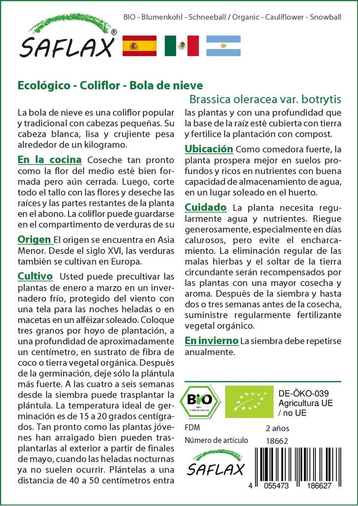 SAFLAX Organic - Цветная капуста - Снежок - 70 семян - Brassica oleracea