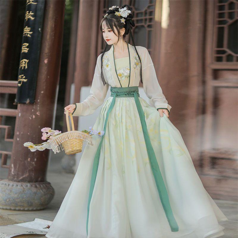 Chinese Song Dynasty Style Hanfu Women's Wear Daily Pleated Skirt Set