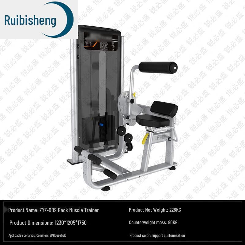 Ruibisheng Коммерческое и домашнее фитнес-оборудование