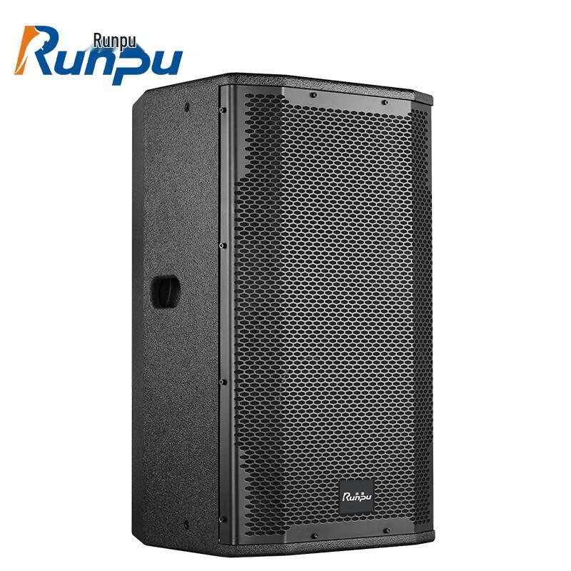 Runpu Professional Passive Conference Speakers CN plug (adapter included) (CN version)