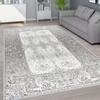 Washable Printed Carpet RVGHOME1572-HT350