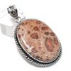 Asteroid Jasper Gemstone 925 Sterling Silver Jewelry Pendant 2.13"