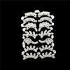 3PCS Eyelashes Cutting Dies Art Paper Embossing Cutting Die Children's Intellectual Development Etching Carbon Steel Cutting Dies
