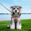 Adjustable Harness Lead Small To Medium Dogs - Plaid Chest Vest Leash Non-Extendable S M L XL