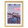 Photo Frame Wall Picture Frame with Shatter Resistant Plexiglass A4 Sized Painting Display Frame for Home Office Decor
