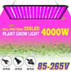 4000W 256 LED Grow Light LED Phyto-lamp Full Spectrum High Power AC85-265V LED Panel Grow Lamp for Plants Hydroponics Tent