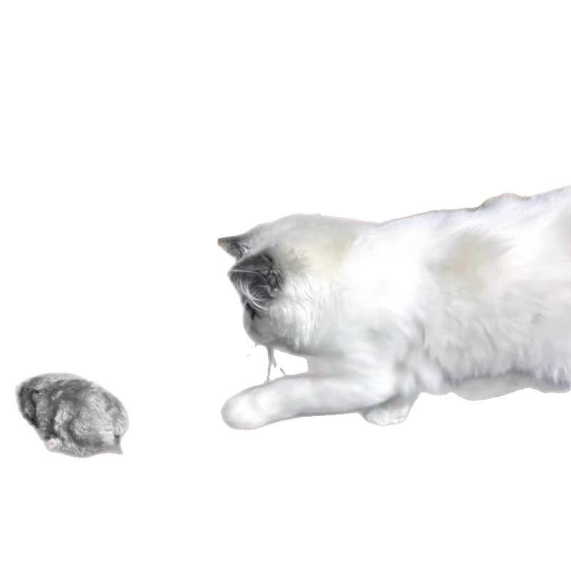 Двухцветная электрическая игрушка для котенка, чтобы развеять скуку