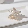 Заколка для волос Морская звезда с инкрустацией стразами Пятиконечная звезда Заколка для волос из ацетата целлюлозы Держатель для хвостика
