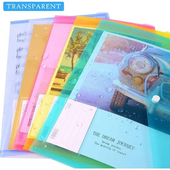 10 Pack Plastic File Folders with Label Pockets - US Letter & A4 Size Clear Document Envelopes, Assorted Color Poly Organizers for Office School