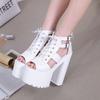 Fashion Fashion Platform Sandals Women Chunky Heel Open Toe Cross-tied Shoes 14cm Super High Heels Sexy Nightclub Party Shoes