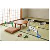 Mario Kart Live Home Circuit Luigi Set