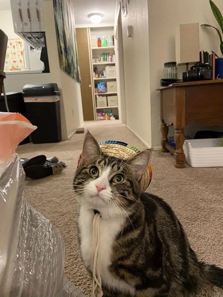 Summer Pet Cat Hat Adjustable, Breathable, Fashionable Cat and Dog Sun Protection Decoration Design Party Supplies