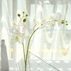 Artificial Orchid Plastic Bedside Living Room 3D Print Desktop Ornaments Simulation Plant for Office
