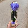Бессмертная Роза Маленький Принц Стеклянный Колпак День Матери День Святого Валентина Одна Ветка Бессмертной Розы