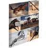 Herma Elasticated Cardboard Folder A4 Animals (Horses)
