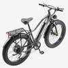 Electric Bicycle Burchad Rx20 750W Peak Motor 26" Fat Tire All Terrain Adult Electric Bike 48V 20Ah Dual Disc Brakes 7 Speed LCD Display