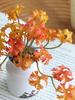 Miniature Succulent Bonsai Desk Ornament: Green Plant Props for Home or Office Decor