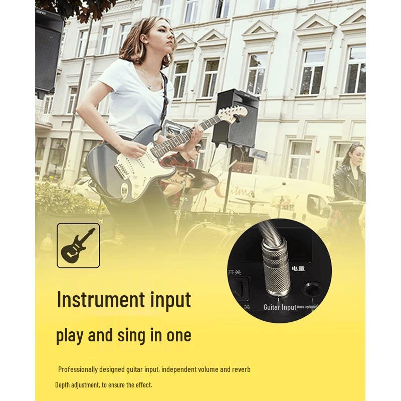 Edifier PW312 12-дюймовая портативная акустическая система Hi-Fi для улицы (Китайская версия)