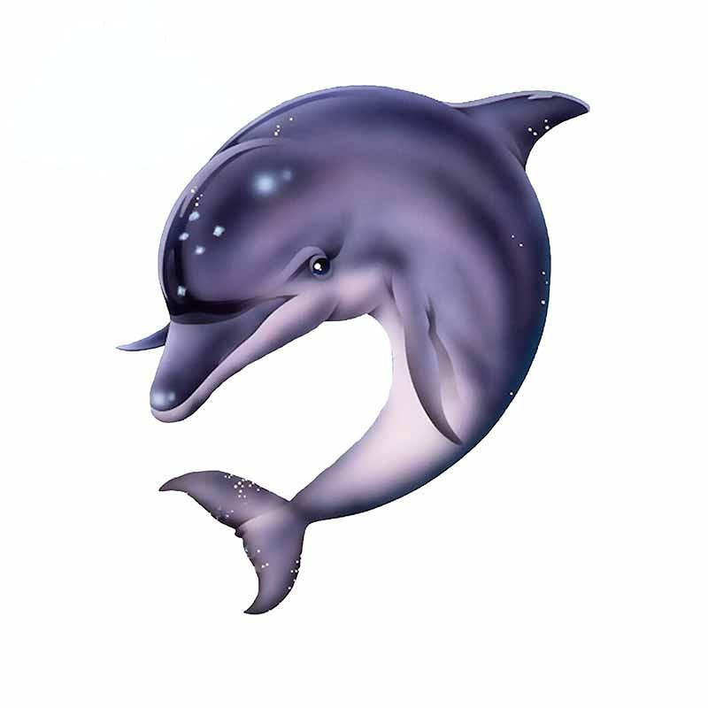 Наклейка на автомобиль, наклейки на тело дельфина, покрытие, царапины, стильные, внешние детали, индивидуальные, солнцезащитные и водонепроницаемые