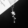 Little Star Necklace for Women's Summer Design Tassel Pendant High-end Temperament Clavicle Chain Light Luxury