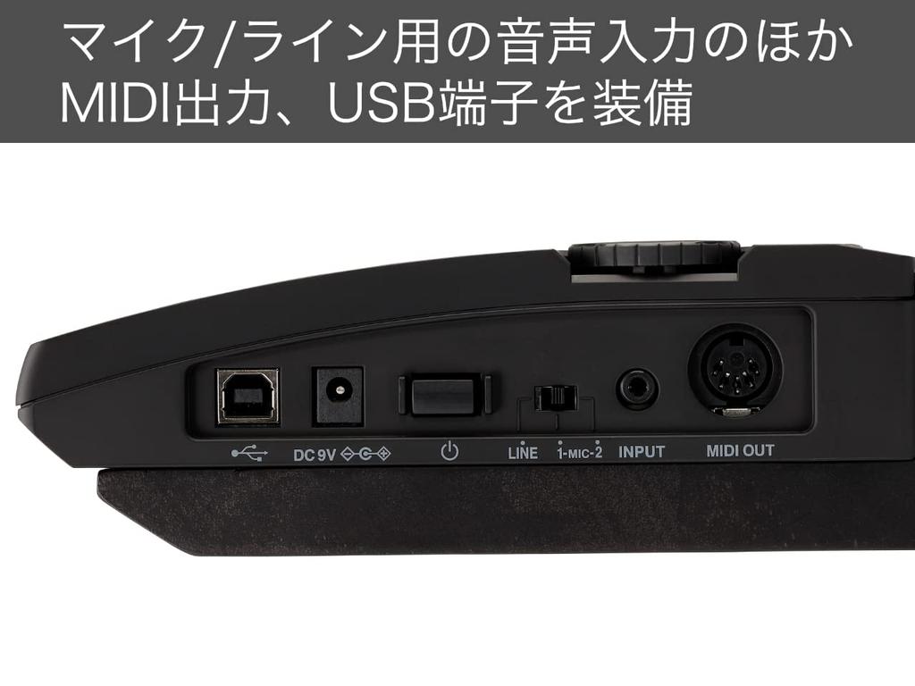 KORG Keytar Synthesizer Stage Keyboard Battery Powered 2BK Translucent Black RK-100S